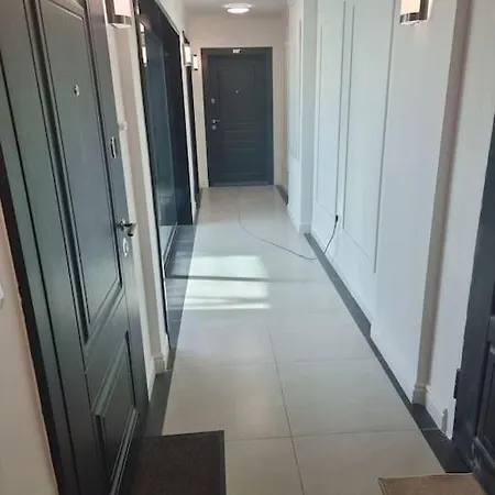 In Evargreen Complex With Terrace Apartment *